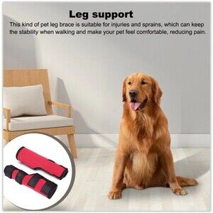 2 PC Dog Knee Brace For Torn ACL,Rear Leg Knee Support Size -Small